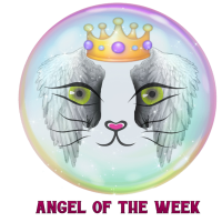 an angel of the week award 